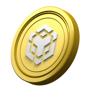 Área informativa da plataforma com moeda BNB decorativa